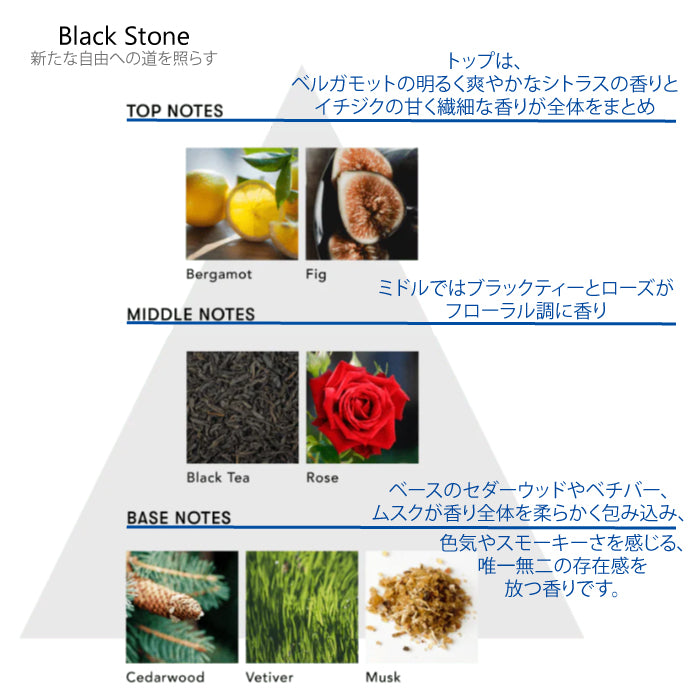シンピュルテ Too Good トゥーグッド マルチベネフィット オイル Black Stone(新たな自由への道を照らす) 50ml ヘアオイル